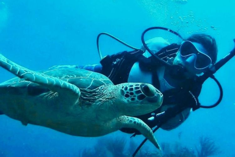 Dive Master Onboard
